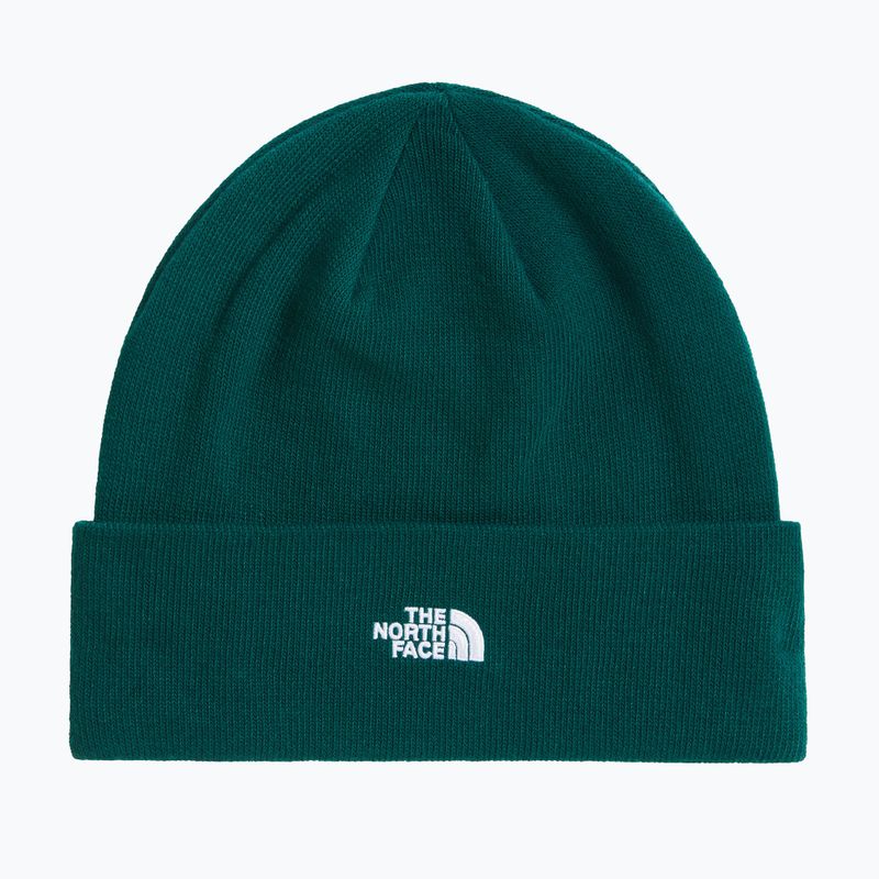 Winter hat The North Face Norm Beanie hunter green