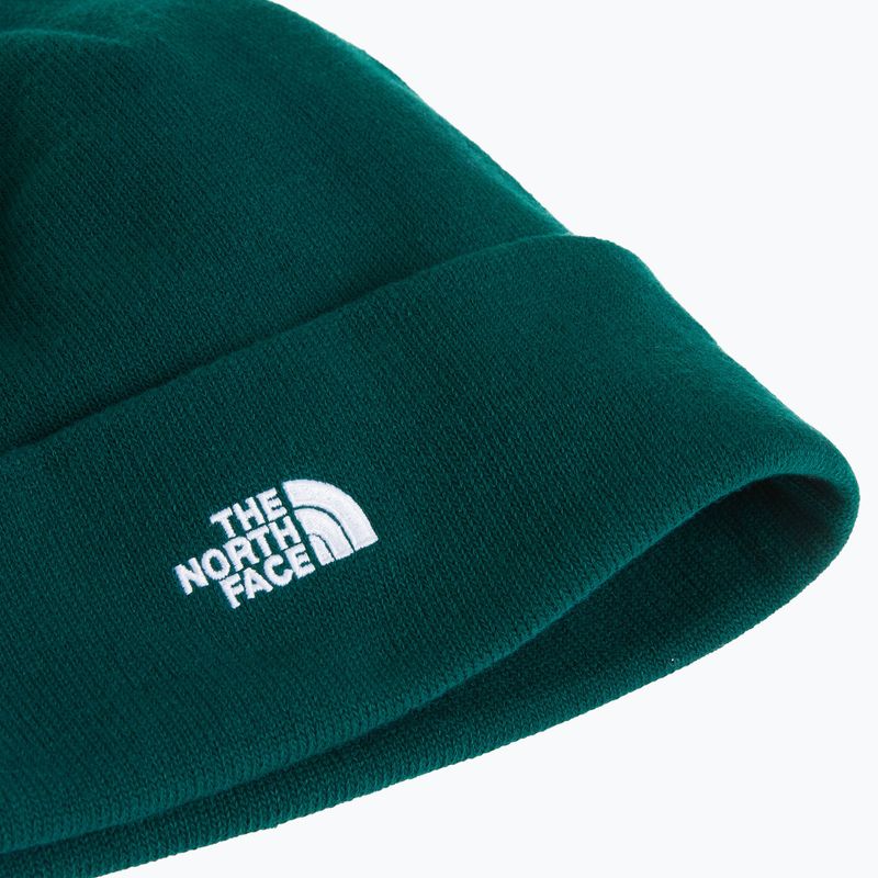 Winter hat The North Face Norm Beanie hunter green 2