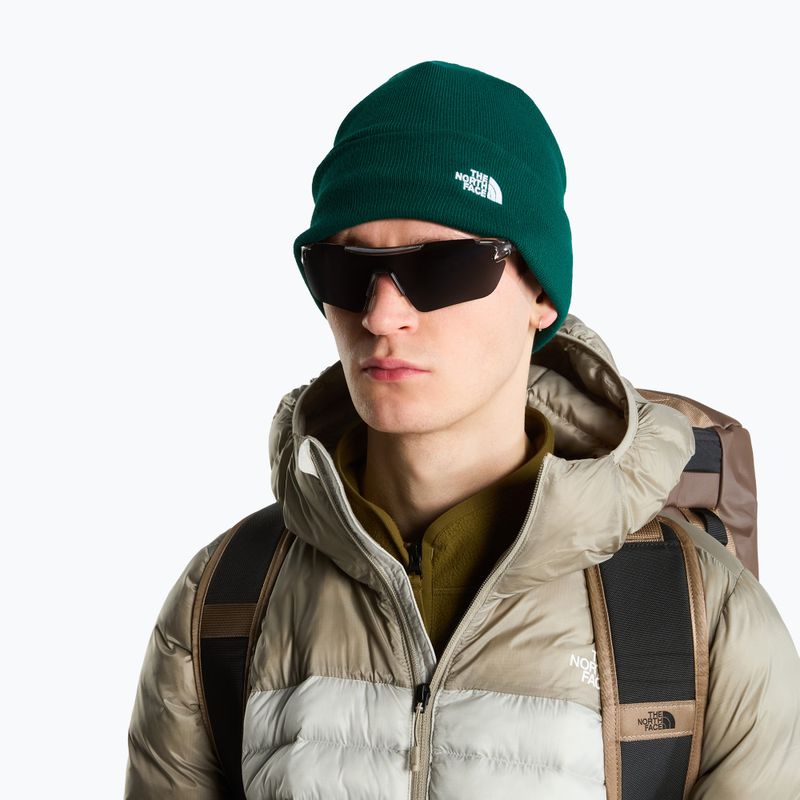 Winter hat The North Face Norm Beanie hunter green 3