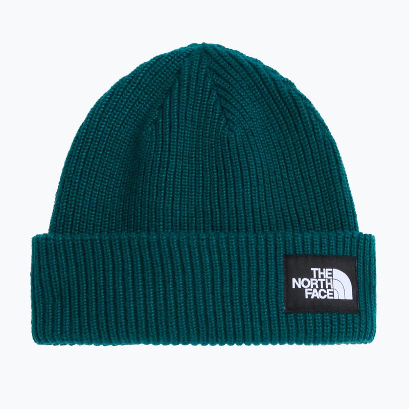 Winter hat The North Face Salty Lined pacific teal
