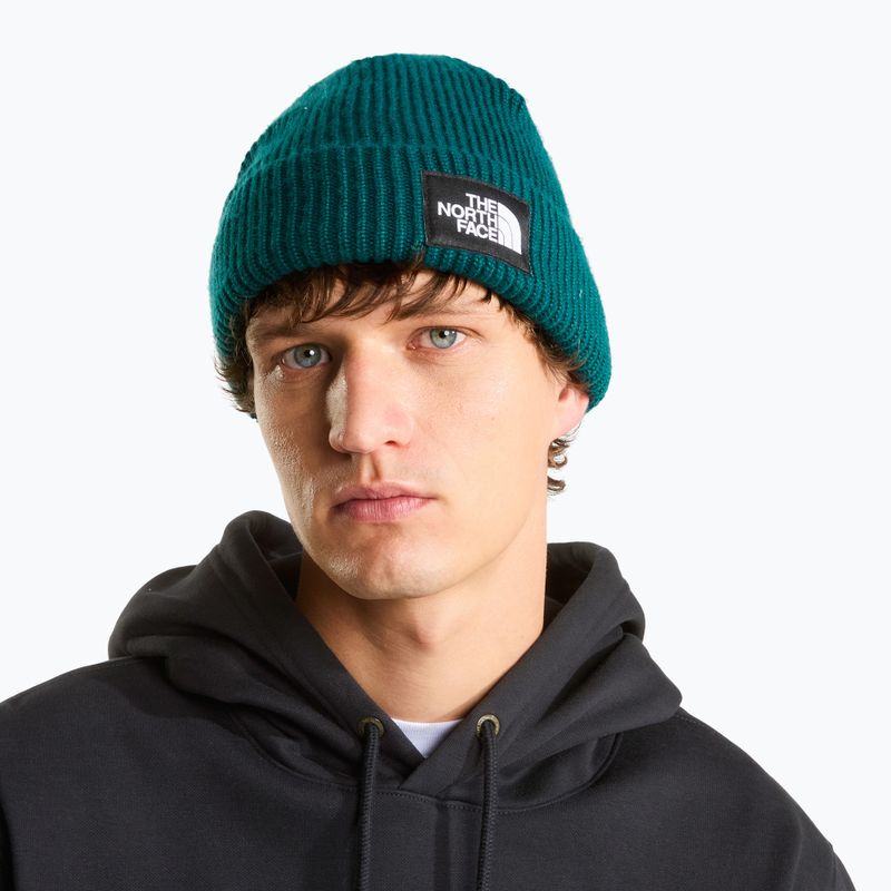 Winter hat The North Face Salty Lined pacific teal 3