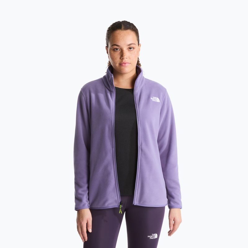Men's fleece sweatshirt The North Face Glacier Fleece grounded plum 4