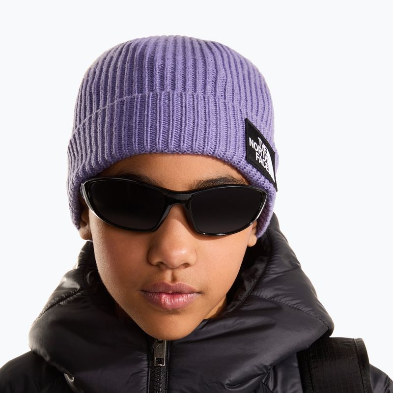 Winter hat The North Face Logo Box Cuffed grounded plum 3