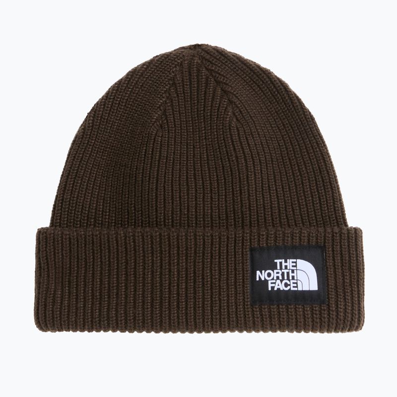 Winter hat The North Face Salty Lined dark chestnut