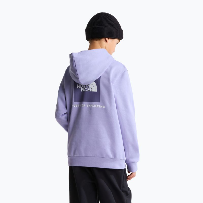 Children's sweatshirt The North Face Evolution Box NSE Pullover Hoodies pale plum 5