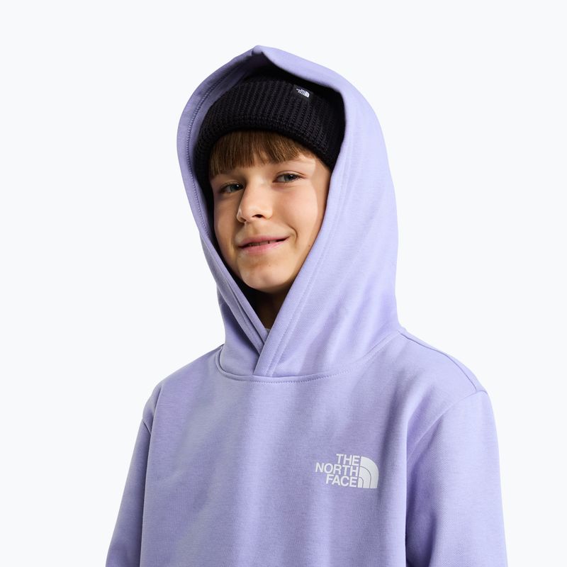 Children's sweatshirt The North Face Evolution Box NSE Pullover Hoodies pale plum 6