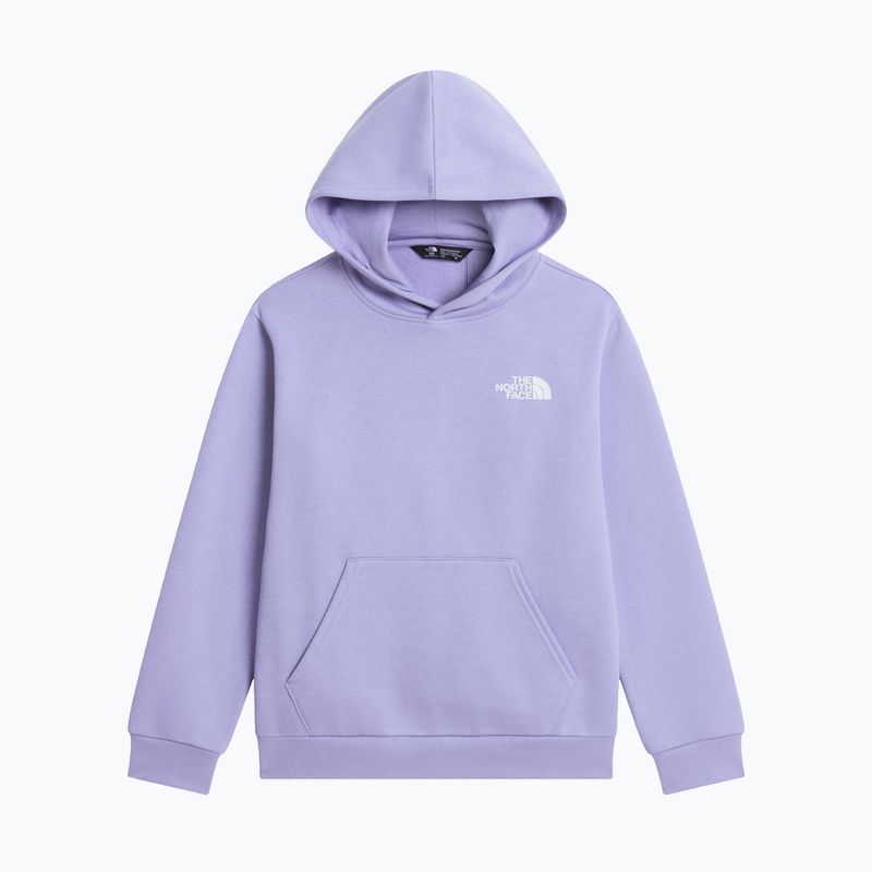Children's sweatshirt The North Face Evolution Box NSE Pullover Hoodies pale plum 7