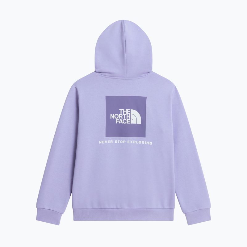 Children's sweatshirt The North Face Evolution Box NSE Pullover Hoodies pale plum 8
