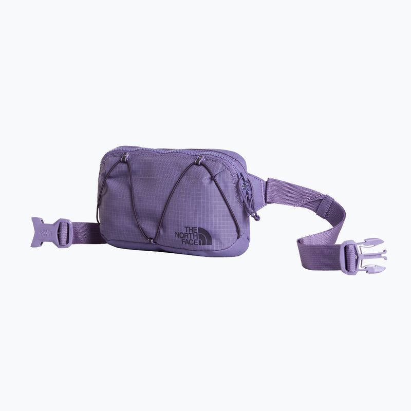 Waist bag The North Face Terra Lumbar 1 l grounded plum/endless 2