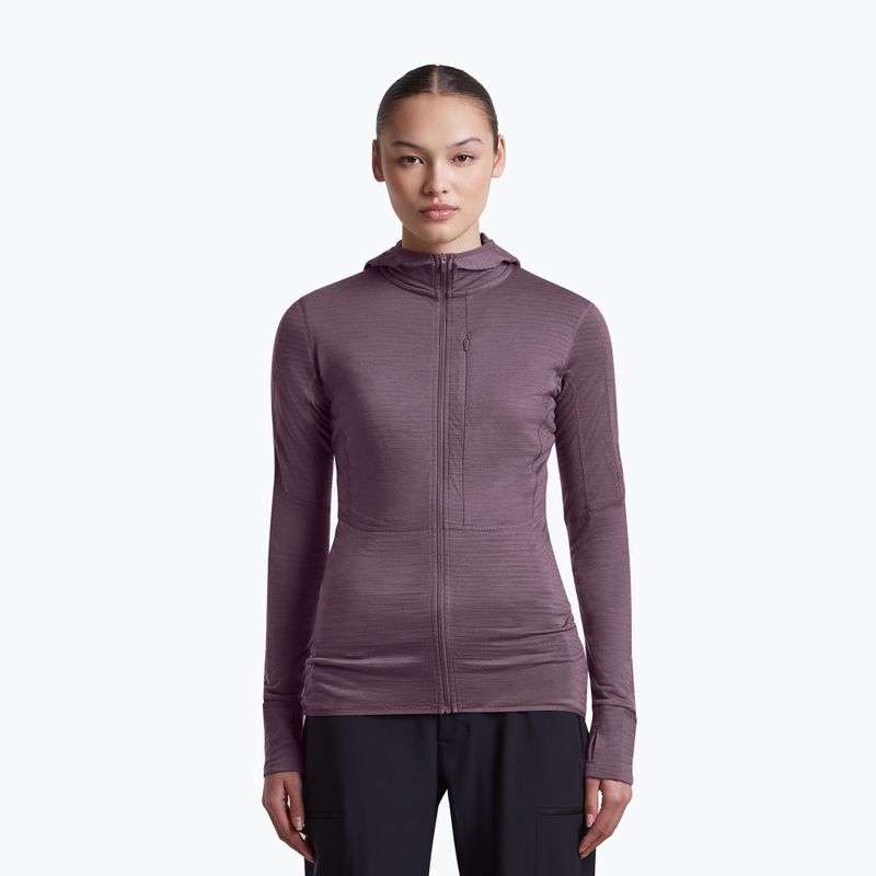 Women's trekking sweatshirt Icebreaker Merino 200 Realfleece Descender Half Zip Hoodie grey plum