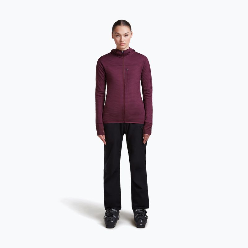 Women's trekking sweatshirt Icebreaker Merino 300 Realfleece Descender Zip Hoodie dark berry 2