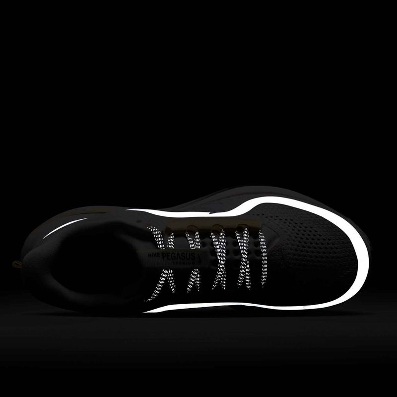 Women's running shoes Nike Pegasus Premium sail/alabaster/anthracite/white 17