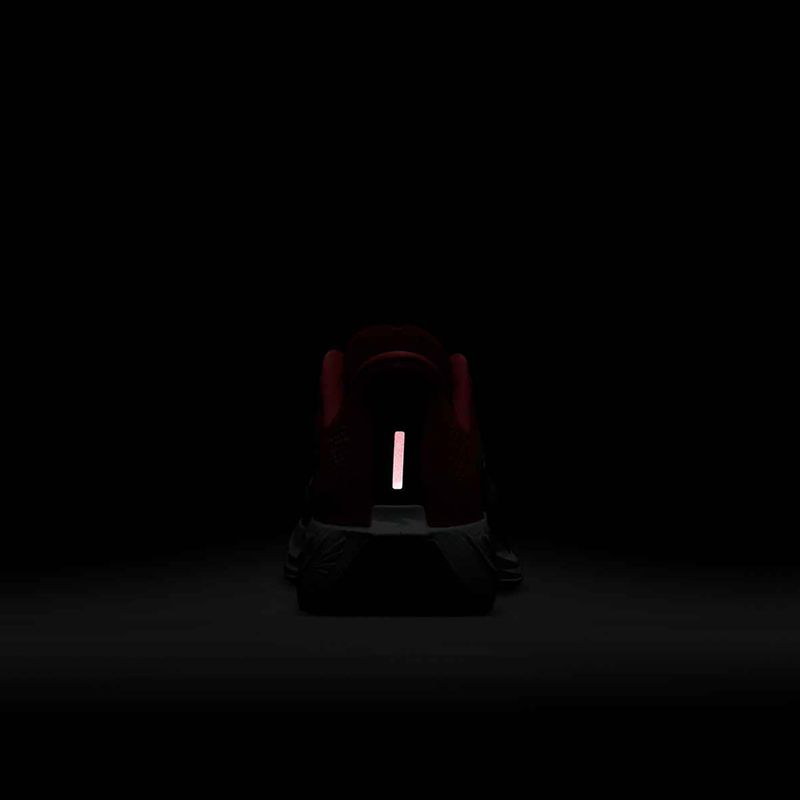 Women's running shoes Nike Pegasus Plus bright crimson / deep royal blue / silt red 9