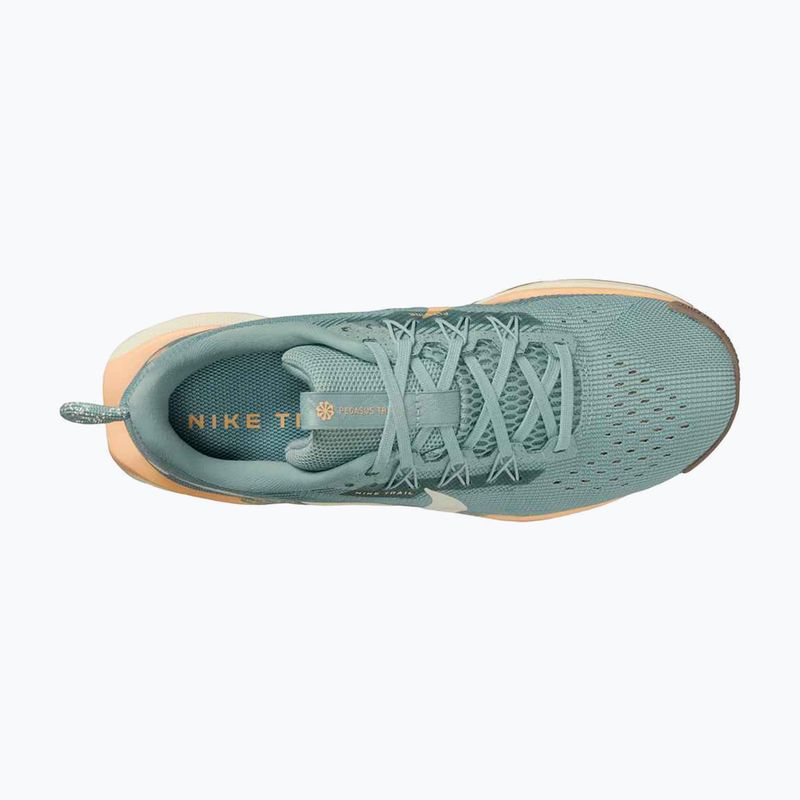 Nike Pegasus Trail 5 women's running shoes cannon / soft pearl / mink brown 6