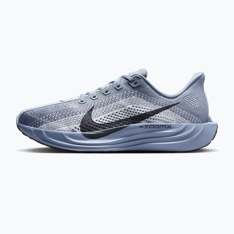Nike Pegasus Plus men's running shoes ashen slate / anthracite / white 2