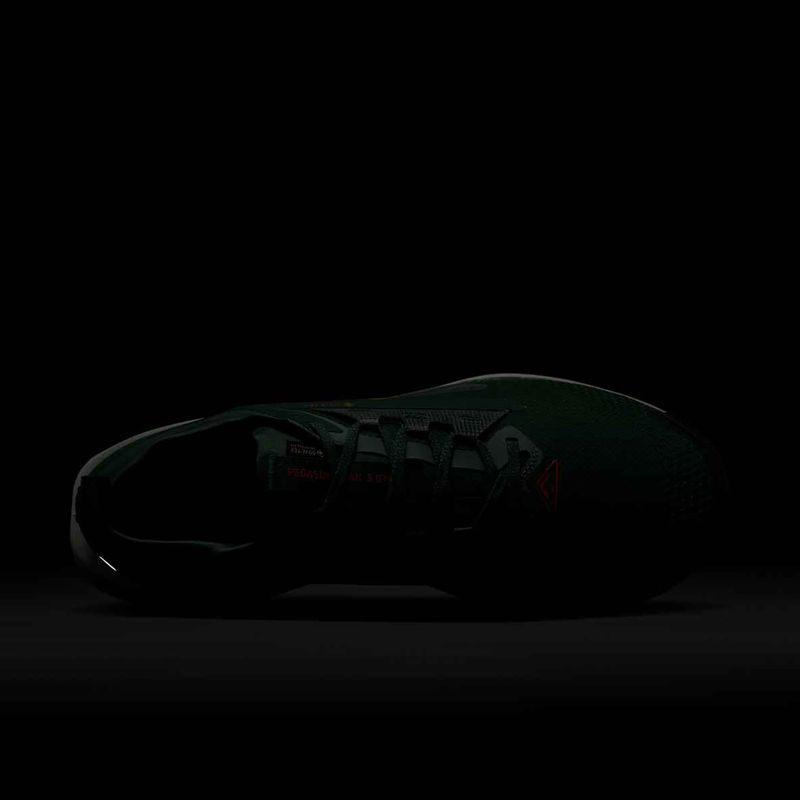 Men's running shoes Nike Pegasus Trail 5 GORE-TEX fir/bright crimson/clay green 10