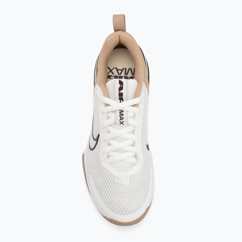 Men's training shoes Nike Air Max Alpha Trainer 6 sail/baroque brown/hemp/desert dust 5