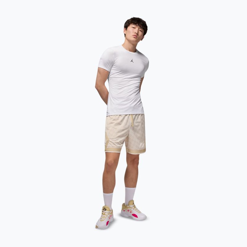Men's thermal shirt Jordan Sport white/black 2