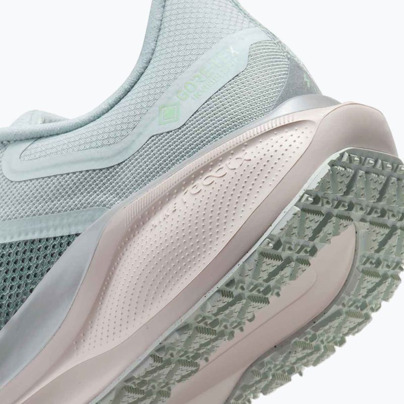 Men's running shoes Nike Pegasus 41 GTX light pumice/pure platinum/silt red/metal silver 10