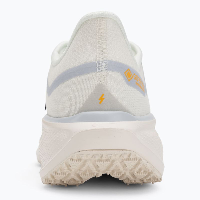 Men's running shoes Nike Pegasus 41 GTX sail/football grey/sundial/ashen slate 6