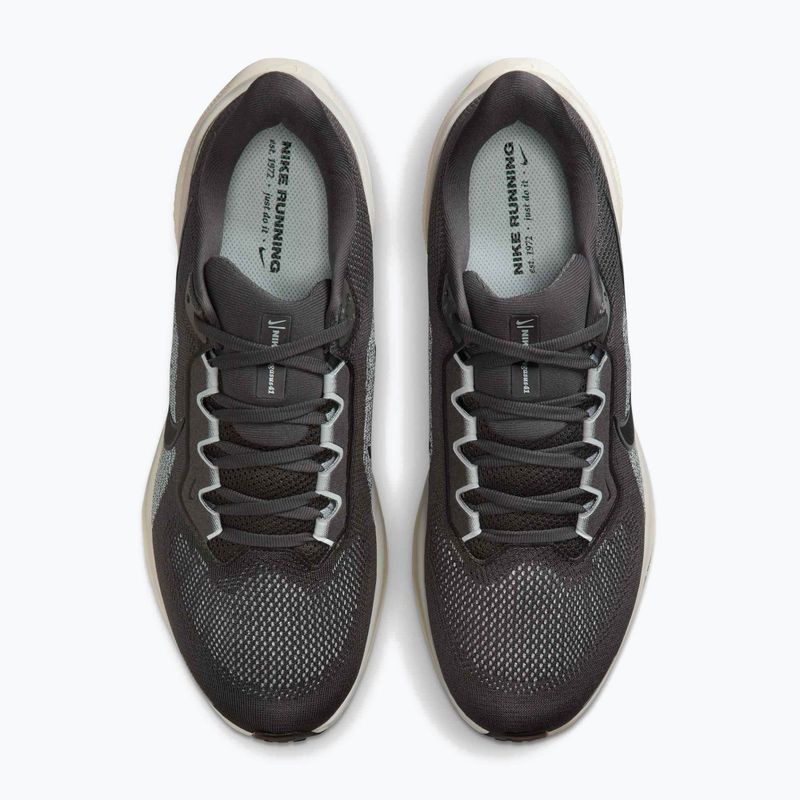 Menʼs running shoes Nike Pegasus 41 medium ash/pure platinum/black 5