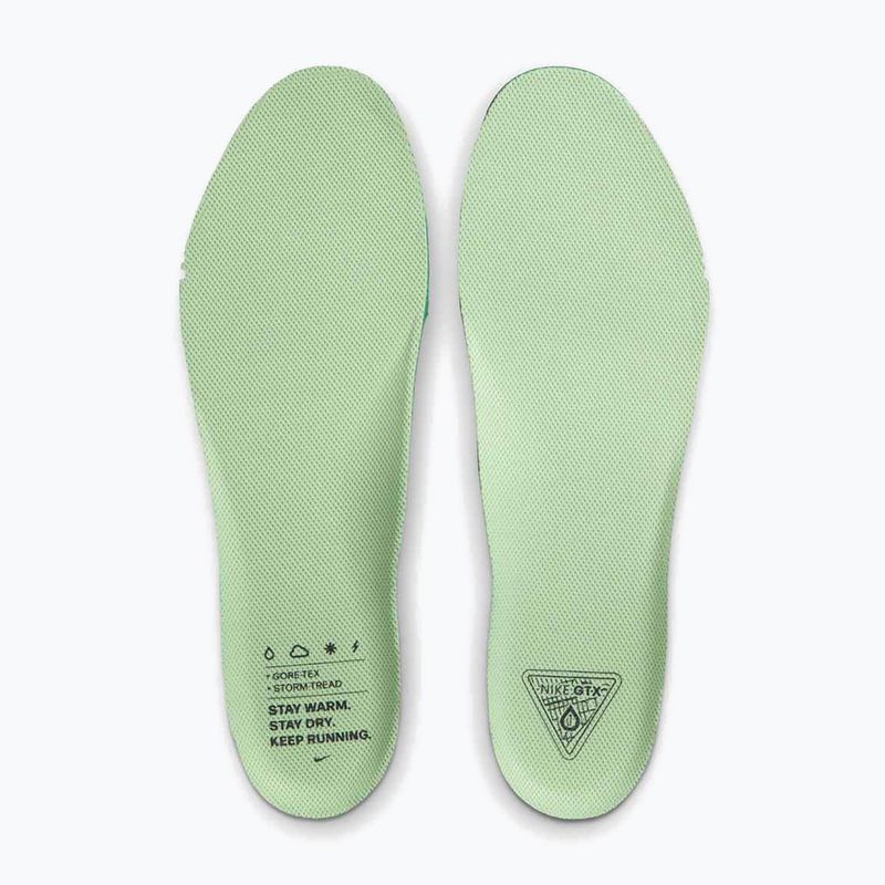 Men's running shoes Nike Pegasus 41 GTX cannon/obsidian/seaweed/volt 11