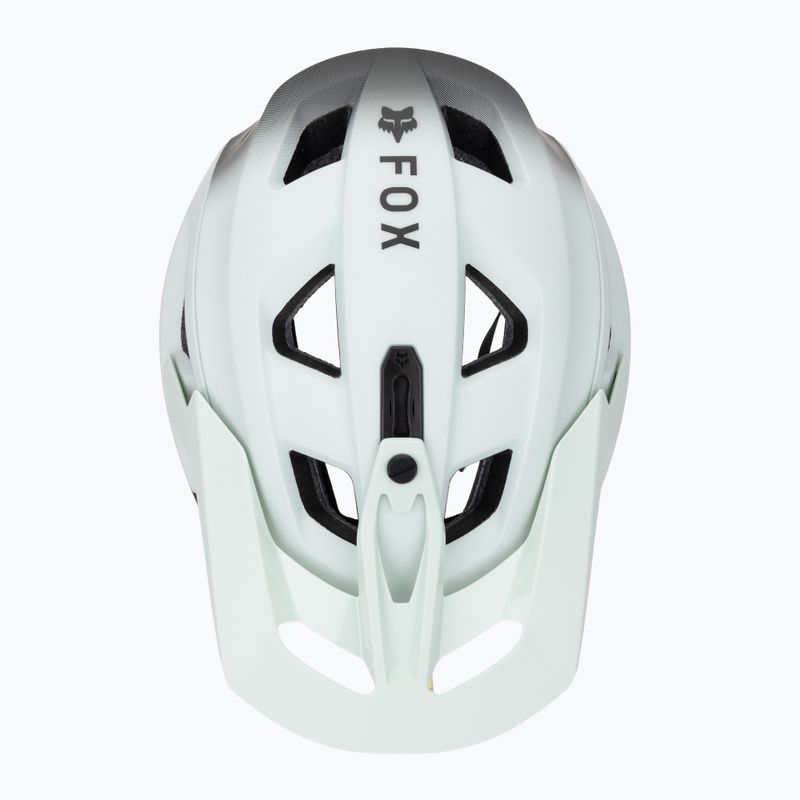 Bike helmet Fox Racing Speedframe Pro Backfade frost 7