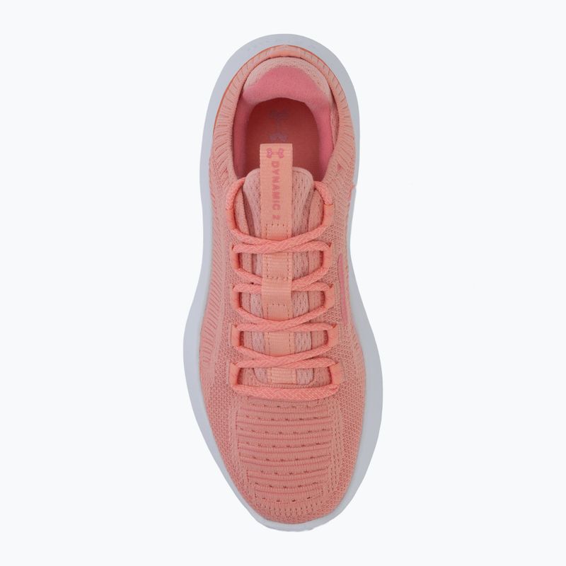 Women's training shoes Under Armour Dynamic 2 posh pink/white/bittersweet pink 5