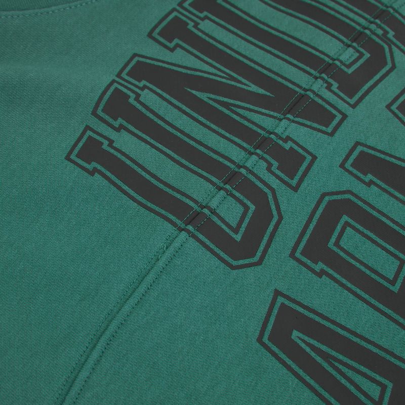 Men's sweatshirt Under Armour Rival LW Graphic Hoodie rack green/black 3