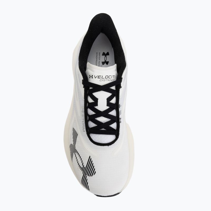 Running shoes Under Armour Velociti Distance Storm white/white/black 5