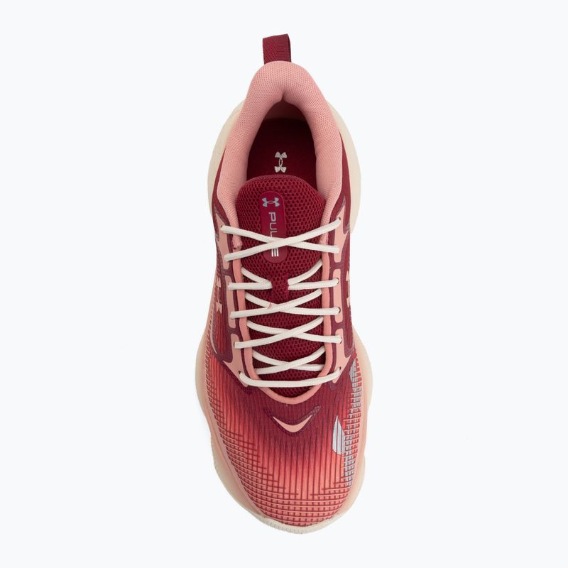 Women's training shoes Under Armour Pulse claret/posh pink/posh pink 5