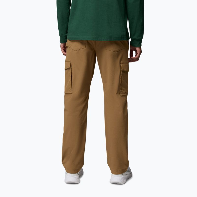 Men's trekking trousers Columbia ROC Tech Cargo delta 3