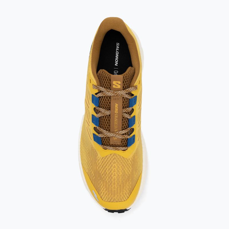 Men's running shoes Salomon Aero Blaze 3 GRVL spicy mustard/vanilla ice/nautical blue 5
