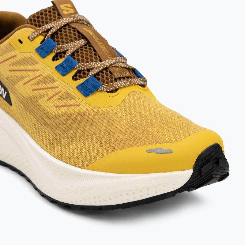 Men's running shoes Salomon Aero Blaze 3 GRVL spicy mustard/vanilla ice/nautical blue 7