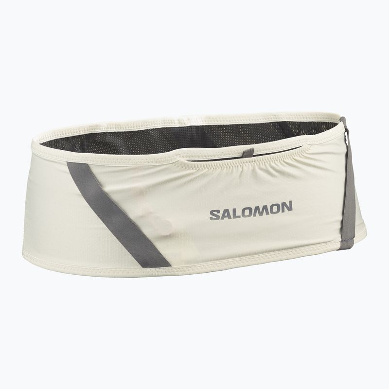 Running belt Salomon Pulse icicle / castlerock 2