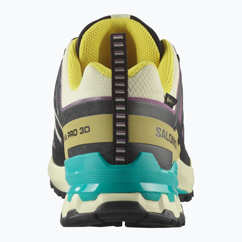 Men's running shoes Salomon XA PRO 3D V9 GTX transparent yellow/black/waterfall 10