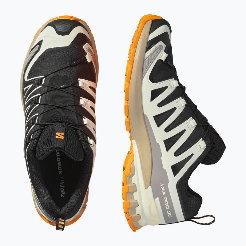 Men's running shoes Salomon XA PRO 3D V9 GTX black/vanilla ice/turmeric 12