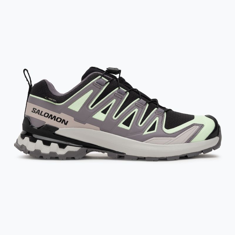 Women's running shoes Salomon XA PRO 3D V9 GTX black/patina green/gray violet 2