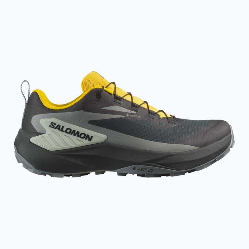 Men's running shoes Salomon Genesis GTX black/sedona sage/incaberry 9