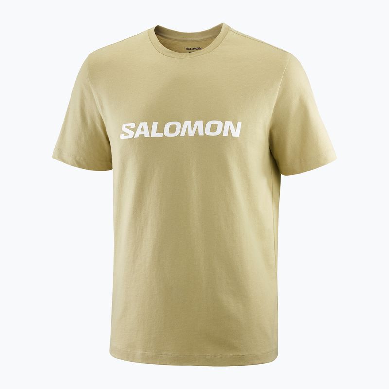 Men's T-shirt Salomon Logo gray green 3