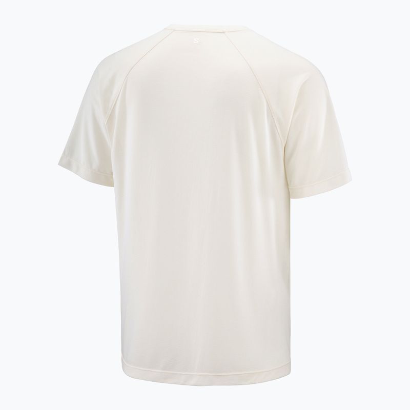 Men's T-shirt Salomon Shakeout Core whisper white 4