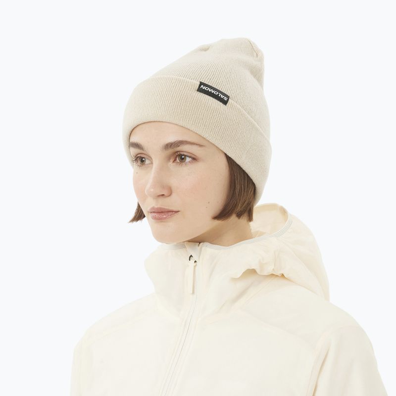 Winter hat Salomon Flatspin Reversible deep blue 4