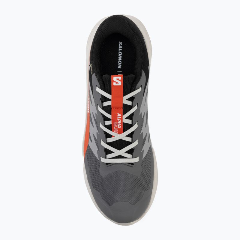 Men's running shoes Salomon Alphaglide GTX castlerock/lunar rock 5