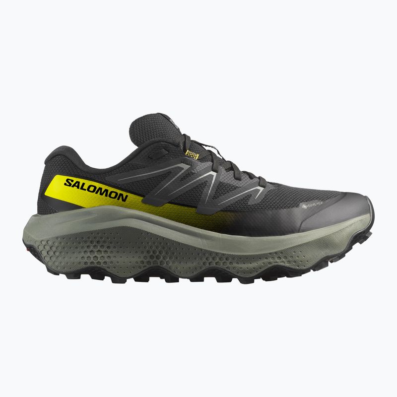 Men's running shoes Salomon Ultra Flow 2 GTX black/sedona sage/incaberry 8