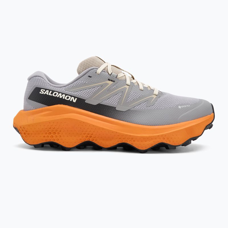 Men's running shoes Salomon Ultra Flow 2 GTX gull/turmeric/white pepper 2