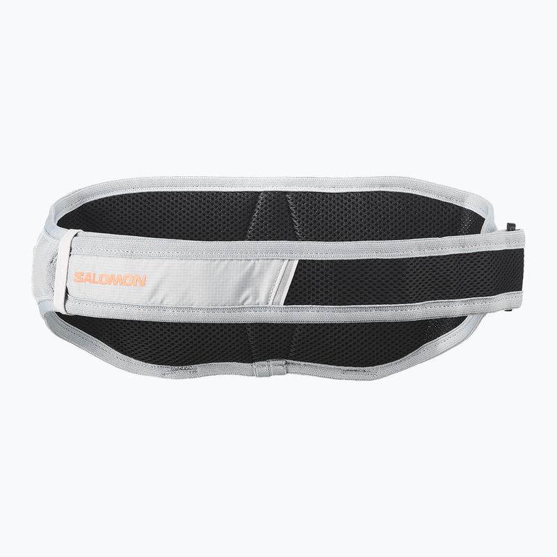 Running belt Salomon Cross 1 Bottle gray violet/quarry 2