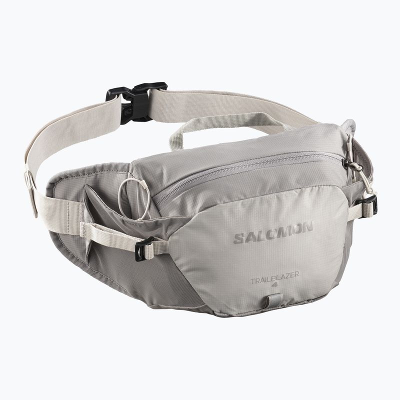 Waist bag Salomon Trailblazer cloudburst/paloma/silver