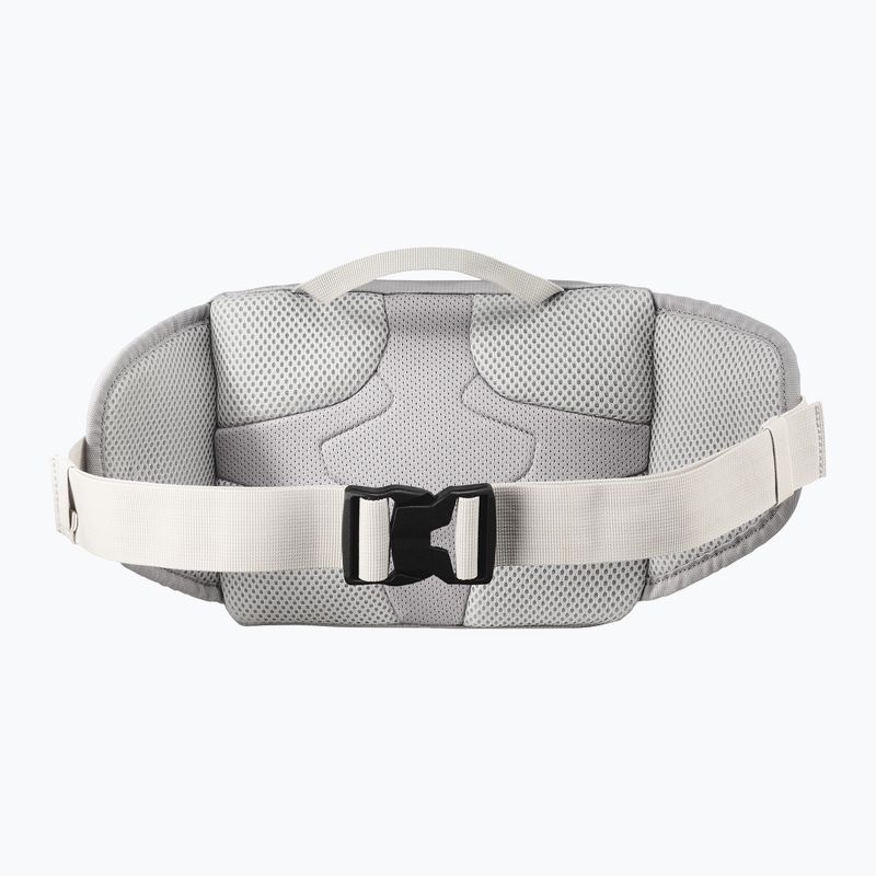 Waist bag Salomon Trailblazer cloudburst/paloma/silver 2