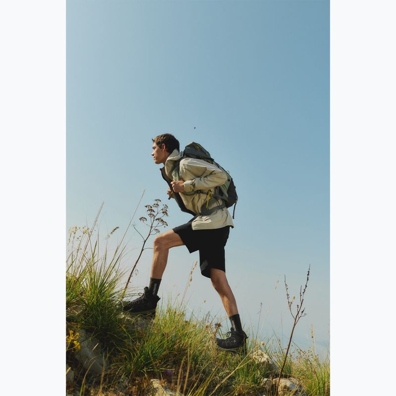 Men's trekking boots Salomon Quest 5 GTX black/dlicgr/black 10