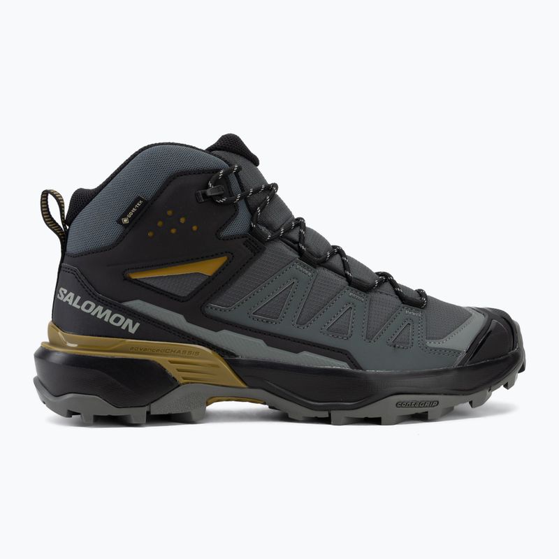 Men's trekking boots Salomon X Ultra 360 MID GTX urban chic/black 2